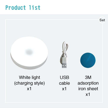 2 Pc LED Motion Sensor Light Night USB Rechargeable - SHOP FAST